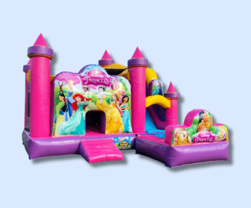 Disney Princess 5-in-1 Combo